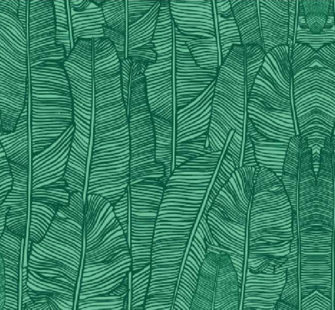 Kona One-Piece